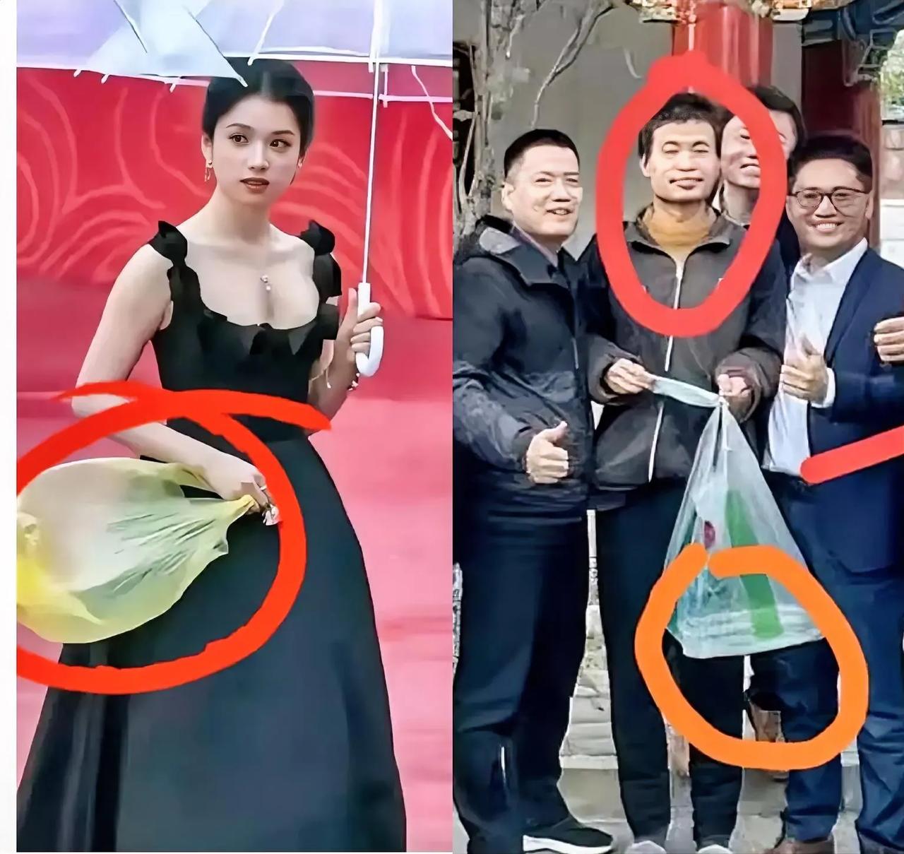 同样是塑料袋，不同的人提着价值天差地别。如果说张婧仪的塑料袋1.2万一个，韦东奕