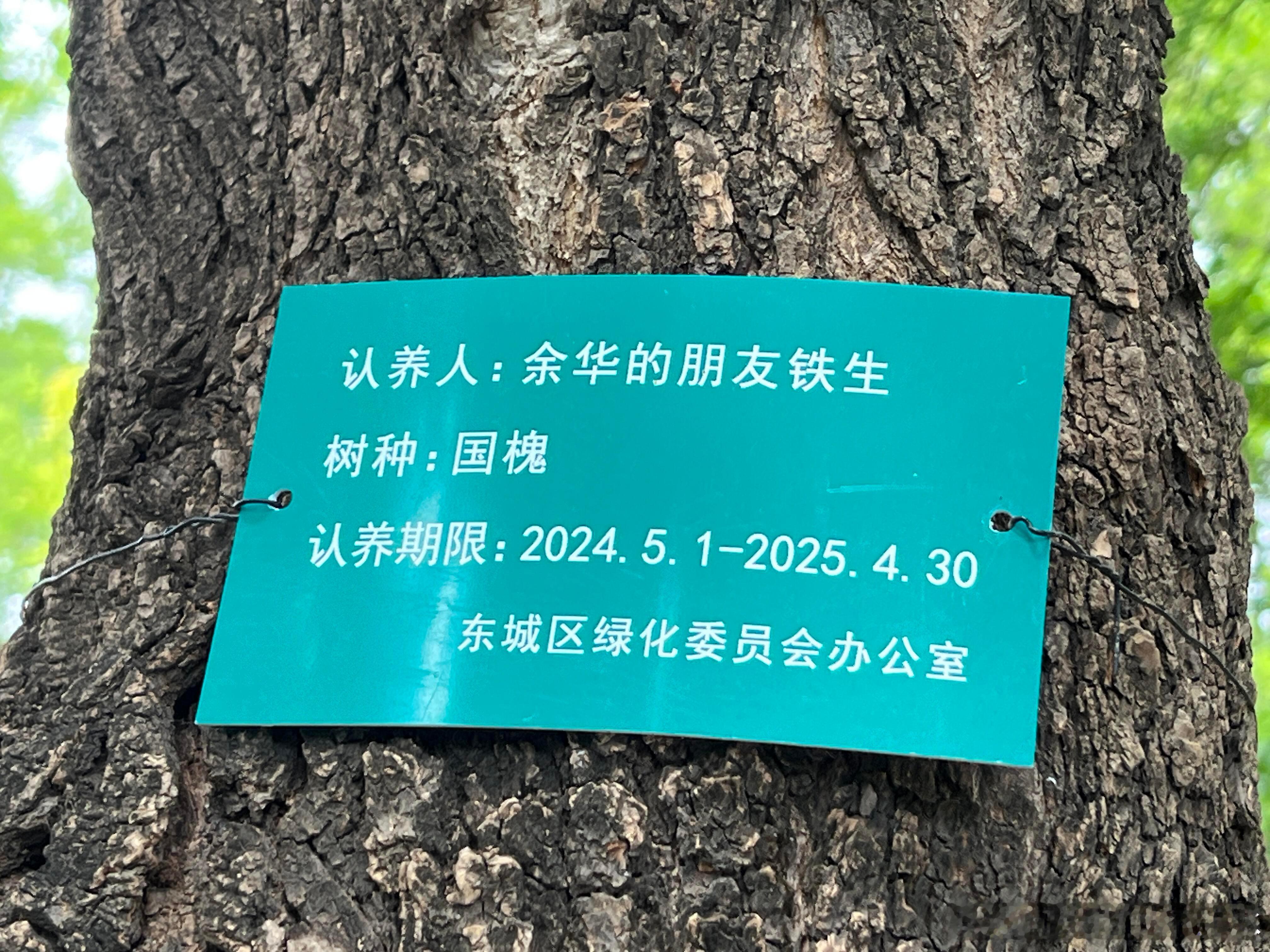 后知后觉的发现，余华小老头朋友史铁生认养的树到期了[泪]，该续费了余华。 ​​​