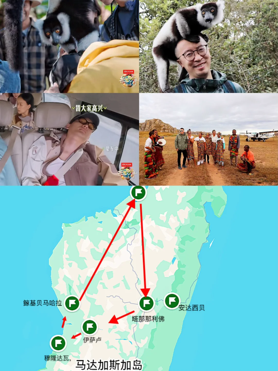 花少7马达加斯加，没苦硬吃吗