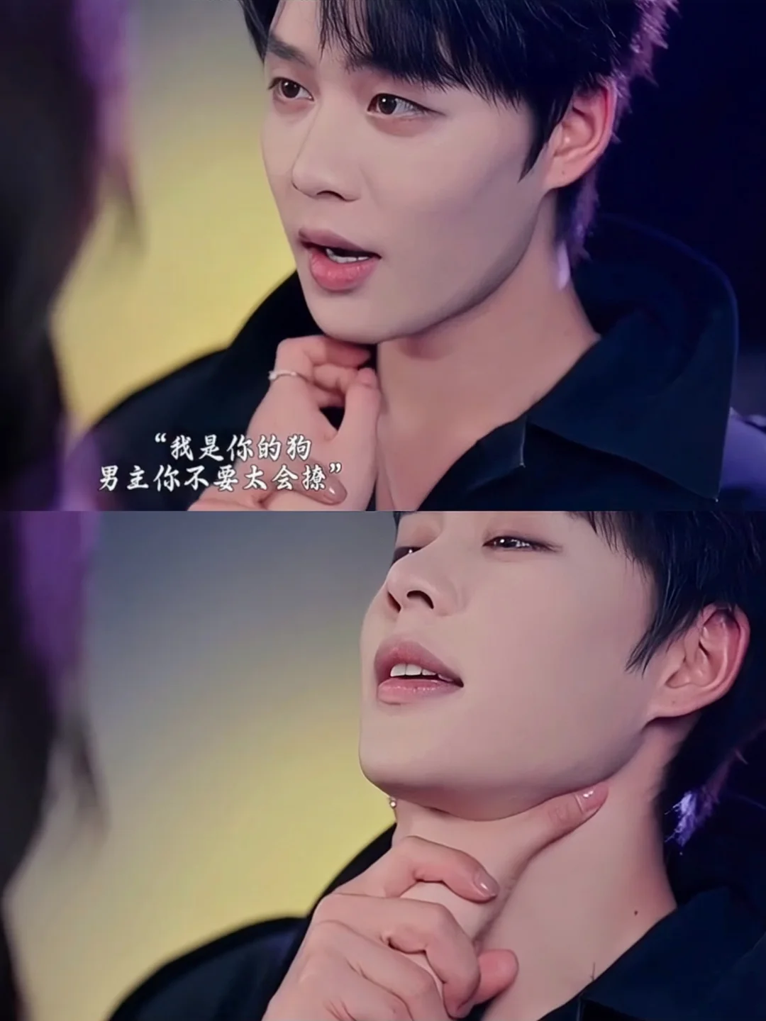 终于来了‼️顶级追妻‼️全员疯批‼️鲨疯了