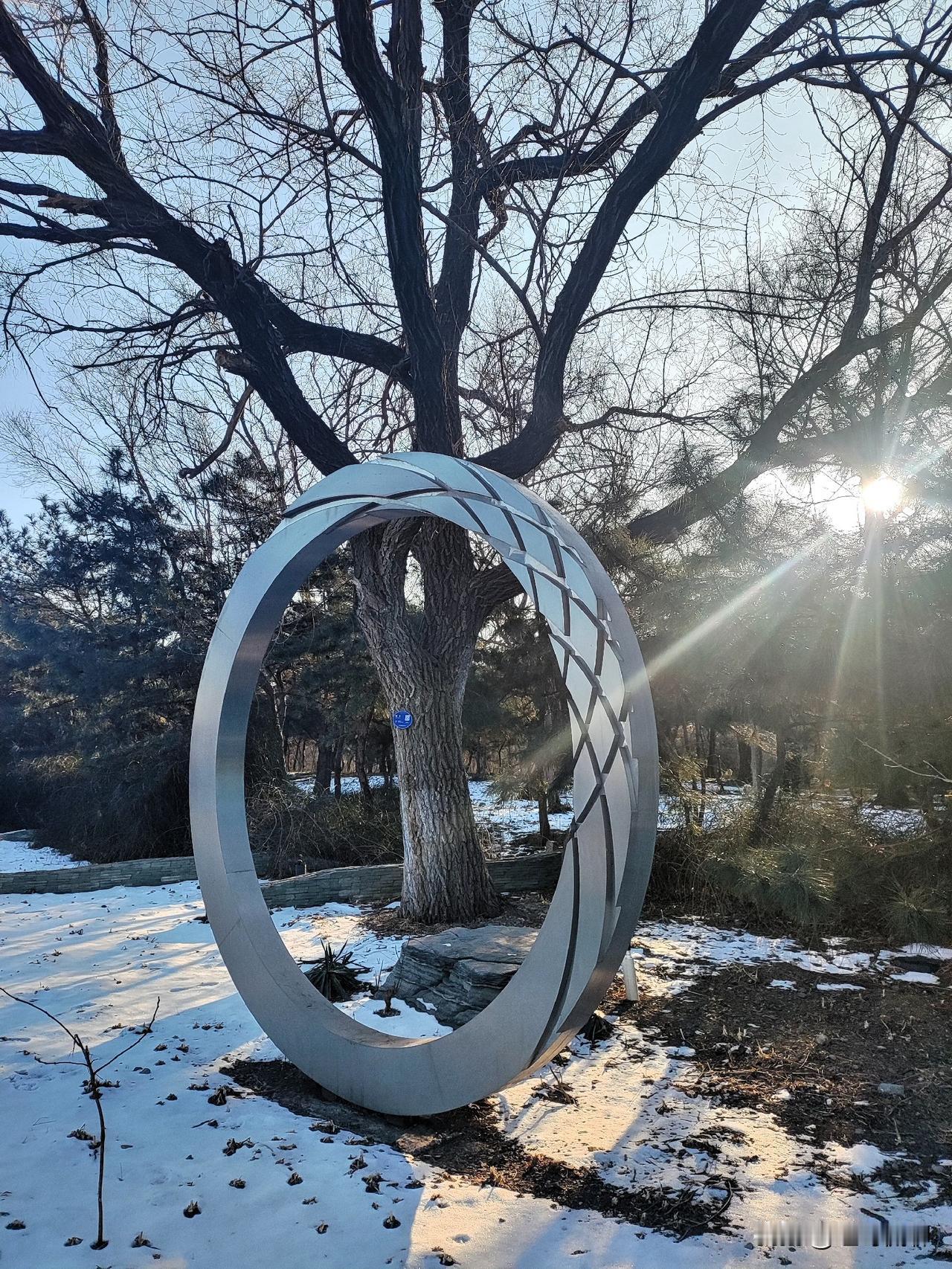 2026年以来，债券型基金表现分化明显，纯债基金尤其是中长期纯债基金表现不佳，而