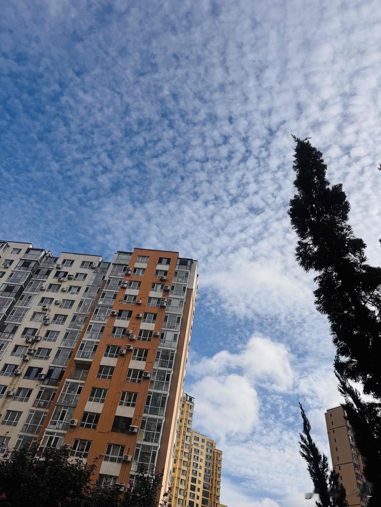 说好的雨呢？它究竟在哪呢？
大连这几日天气预报都称有雨，可雨却迟迟未下。瞧瞧这晴