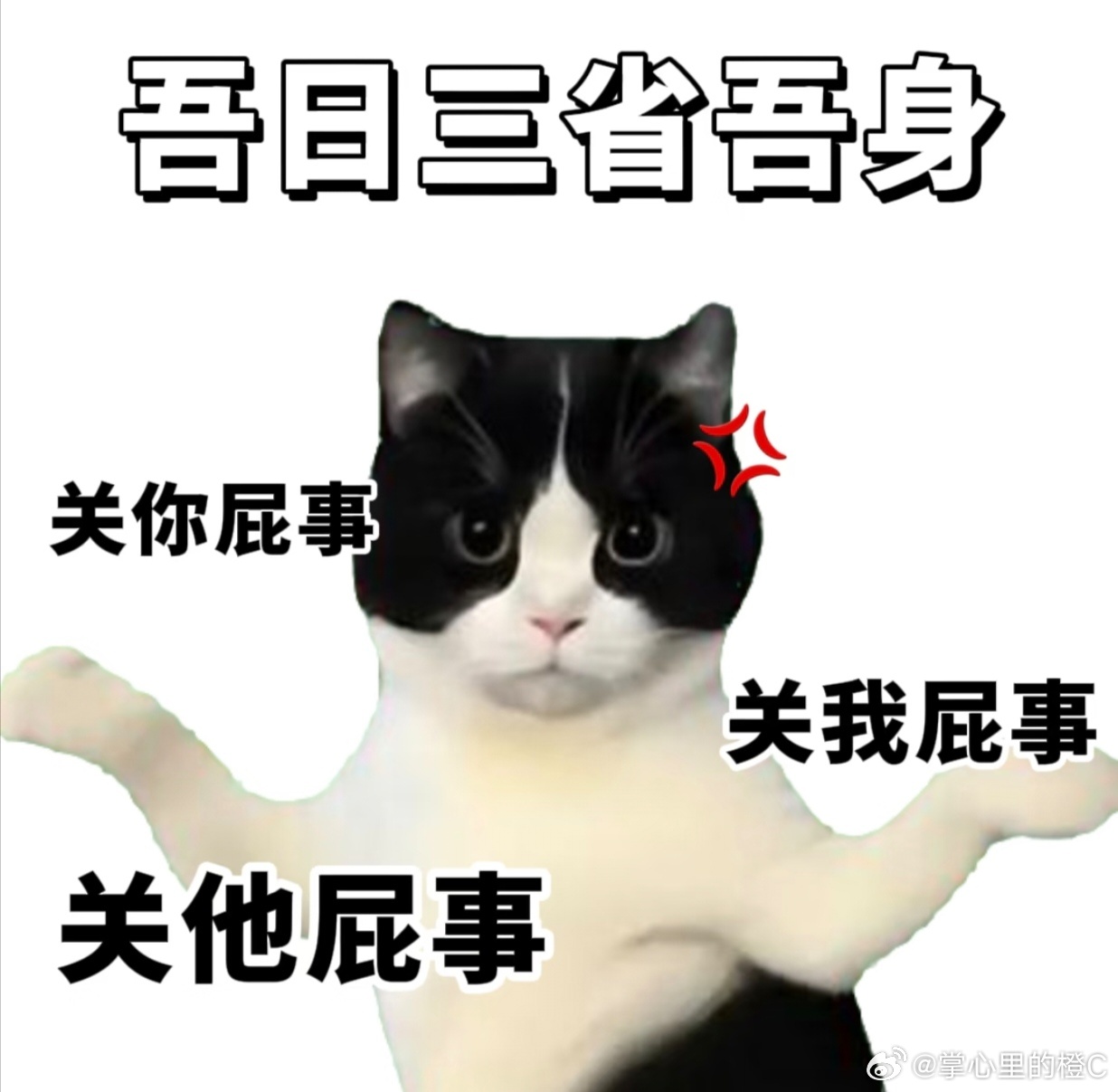 过度分享其实也是一种打扰任何事情都要有度，不然就是打扰，这不奇怪啊，又不是只有分