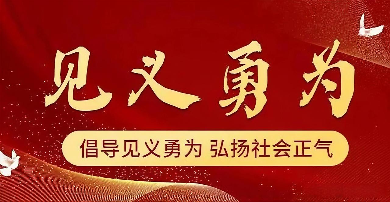 说实话，看到这两条新闻的时候，我愣了一下。

一个是南阳淅川老城黑龙泉村的山火，