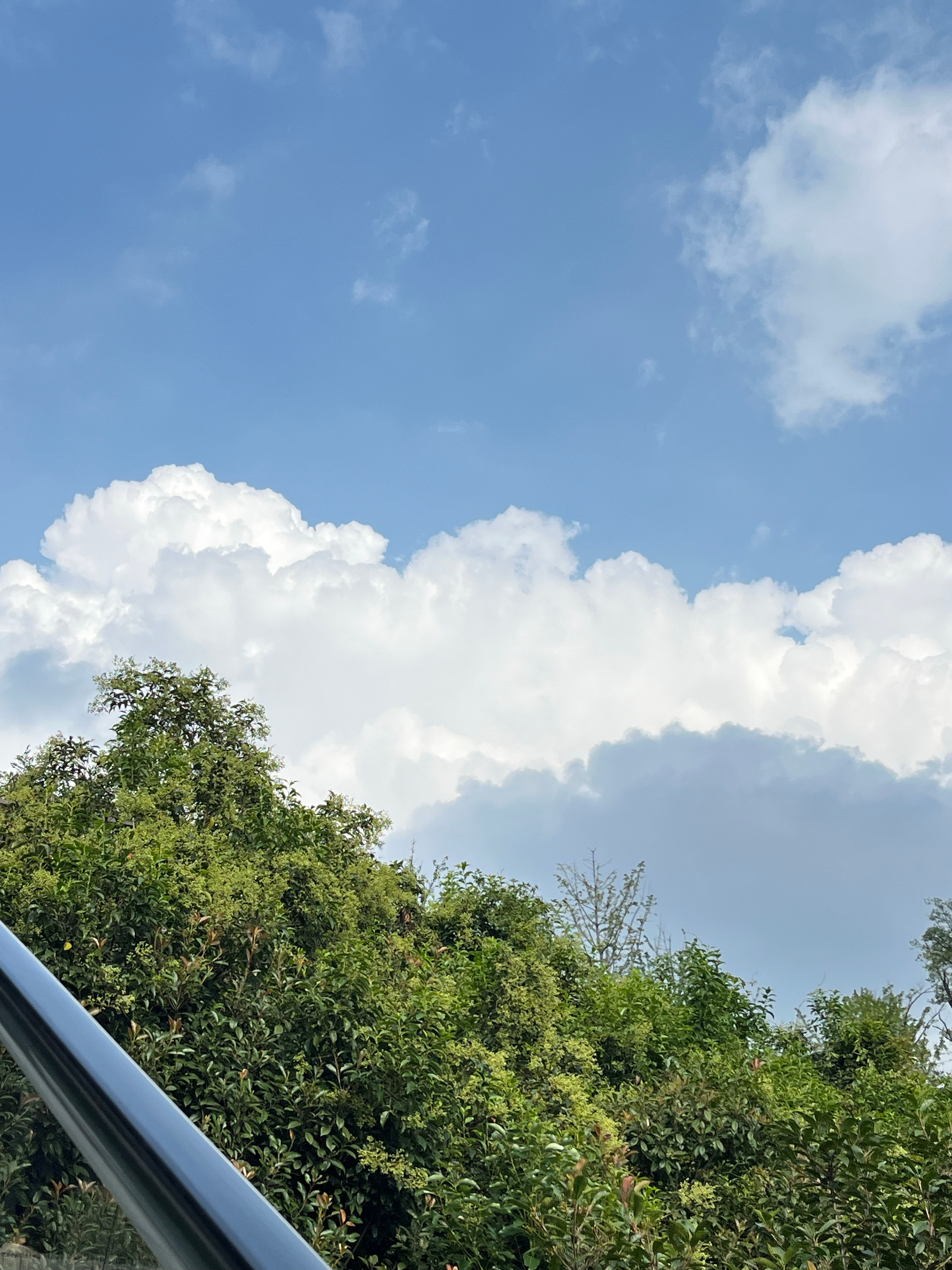 清库存[毛球]  ​​​