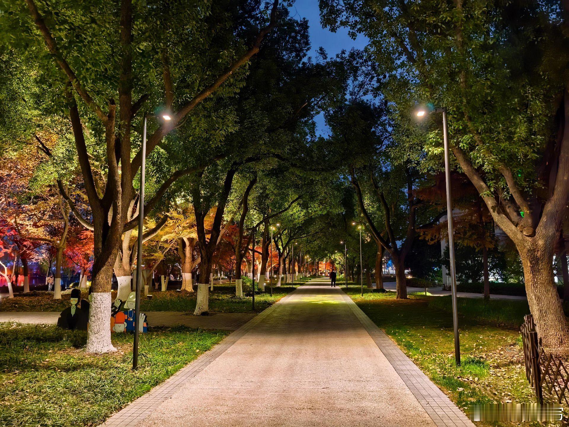 随手拍经历告诉我，什么都得靠自己，有苦自己吃，有伤自己养，有累自己擦，咽下一切委