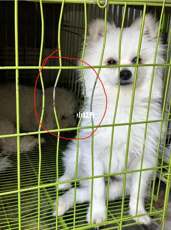 这是孩子用鼻子拱出来的