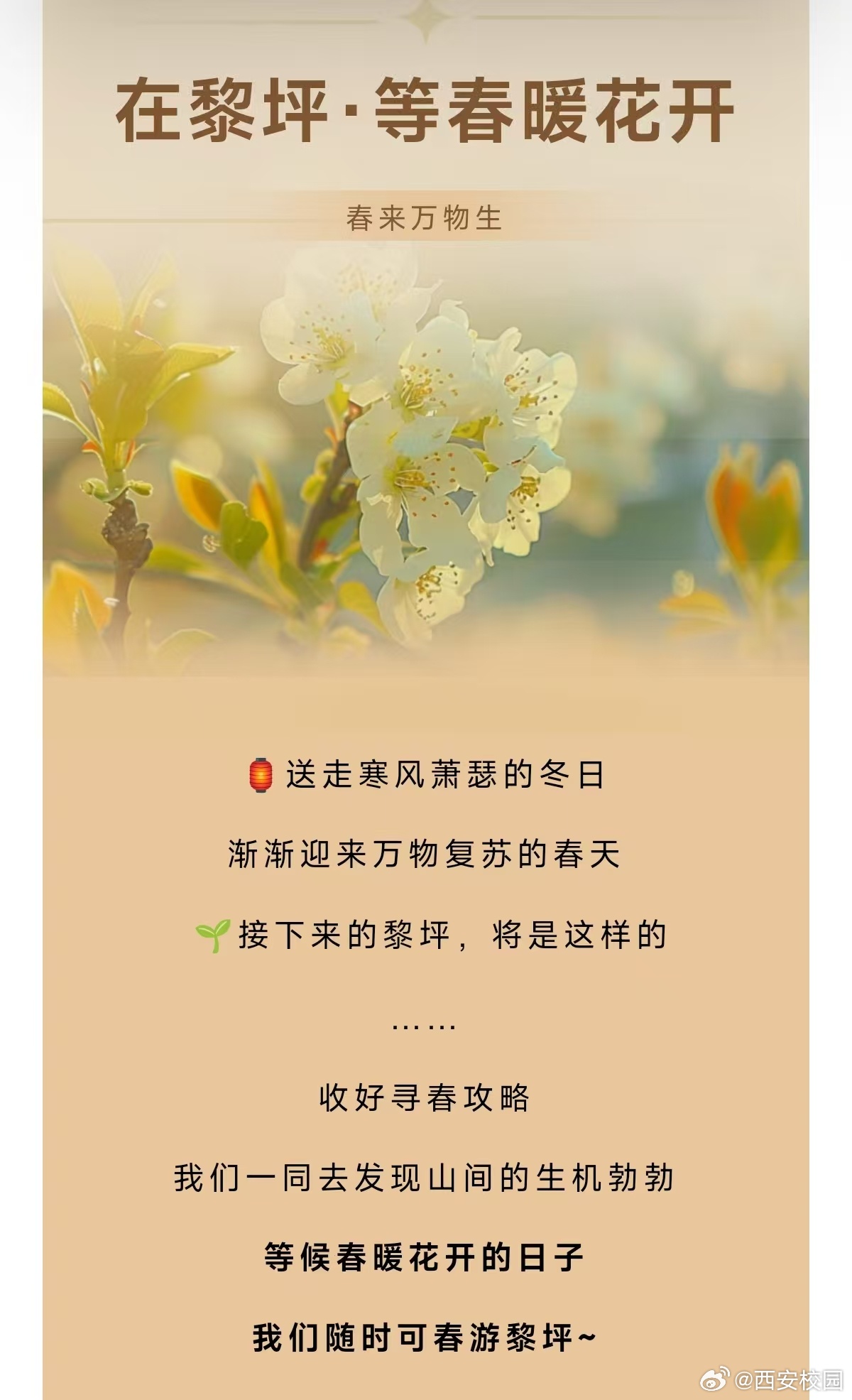 来汉中看春暖花开乐翻天   你准备好迎接汉中黎坪的春天了吗？快来这里，与我们一起