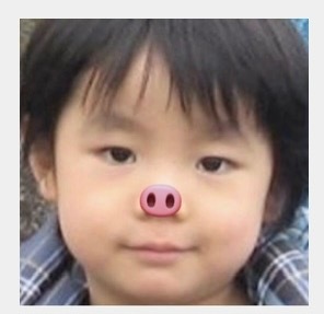 猪你的鼻子有两个孔 