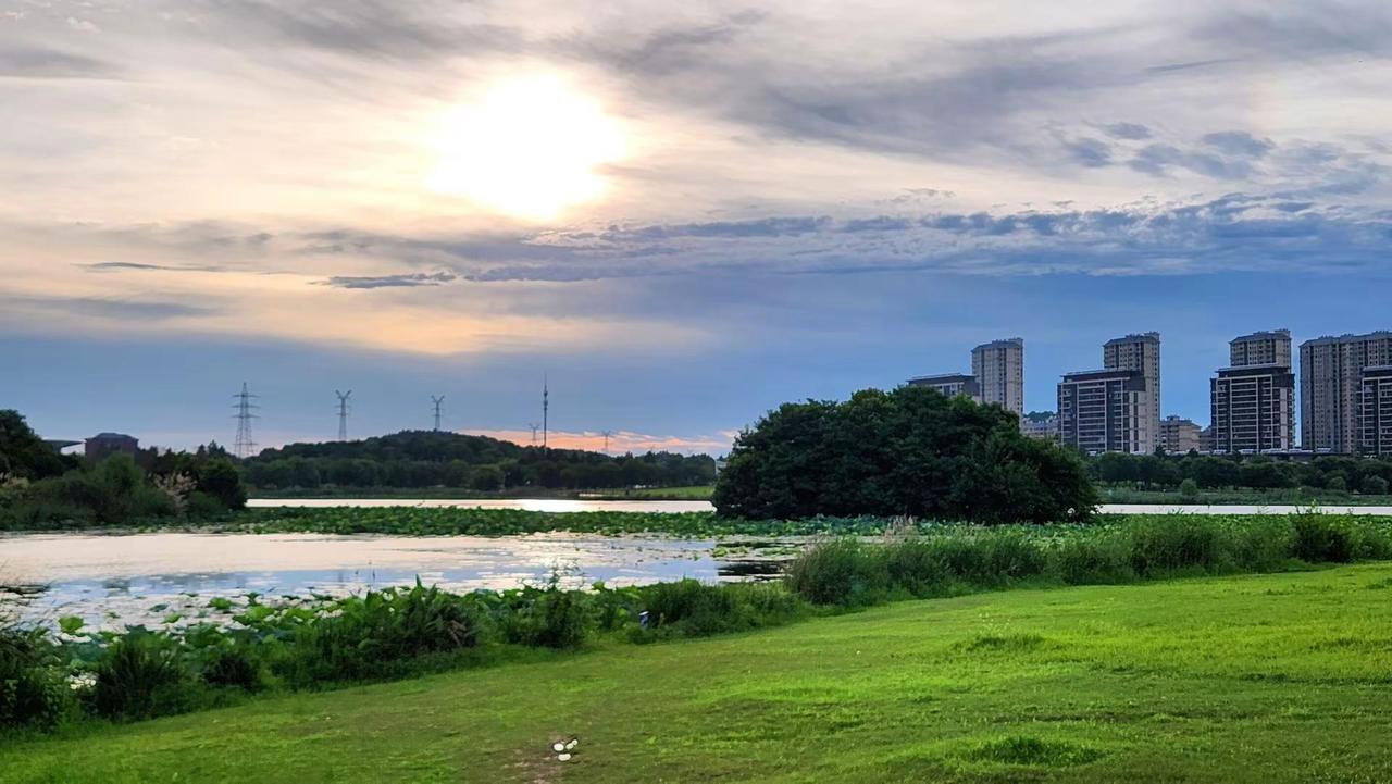 阿尔泰溧水分泰逃离城市 家乡的原风景 绿地氧吧