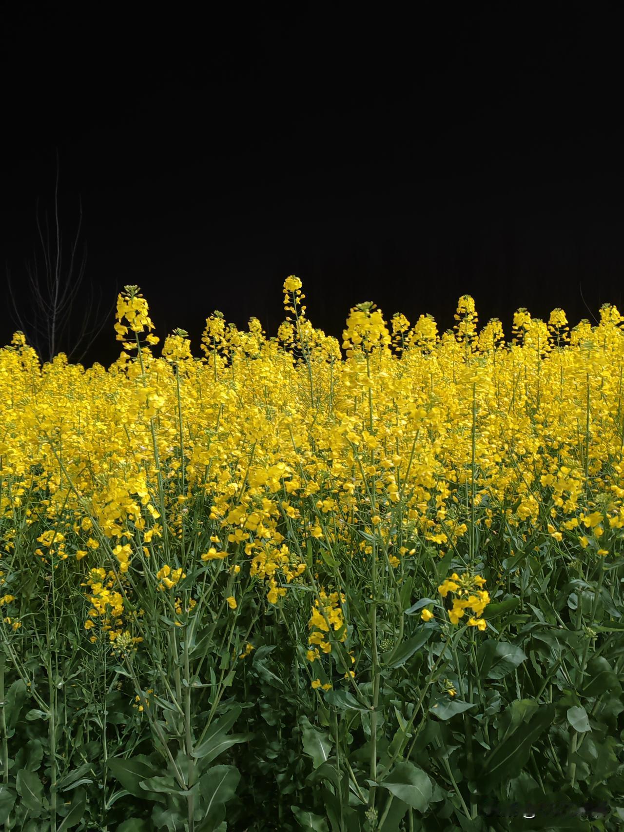 真心劝大家一句，不管日子过得多难、心里多委屈，都别随便找身边人诉苦，真的没你想的