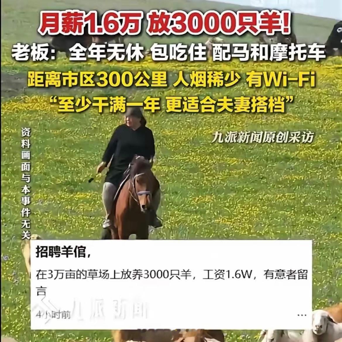 月薪1.6万招人放羊企业还没招到人这是管3000只羊、3万亩草场，离城300公里