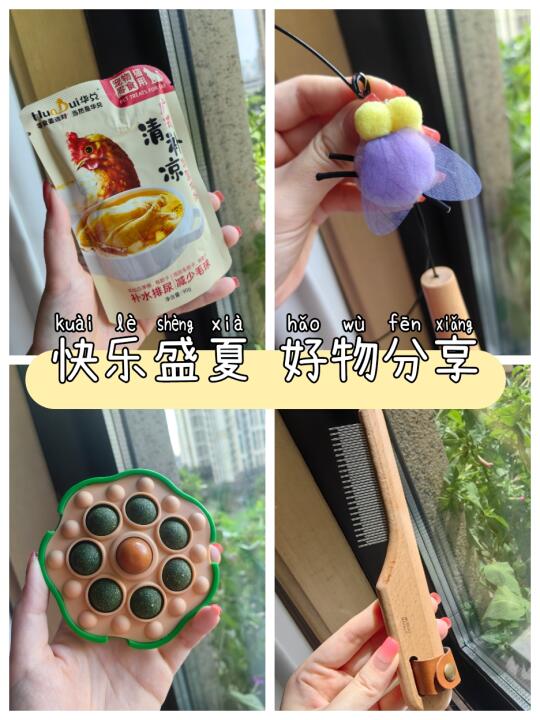 🐱猫咪的快乐盛夏✨好玩又好用的宝藏好物‼️