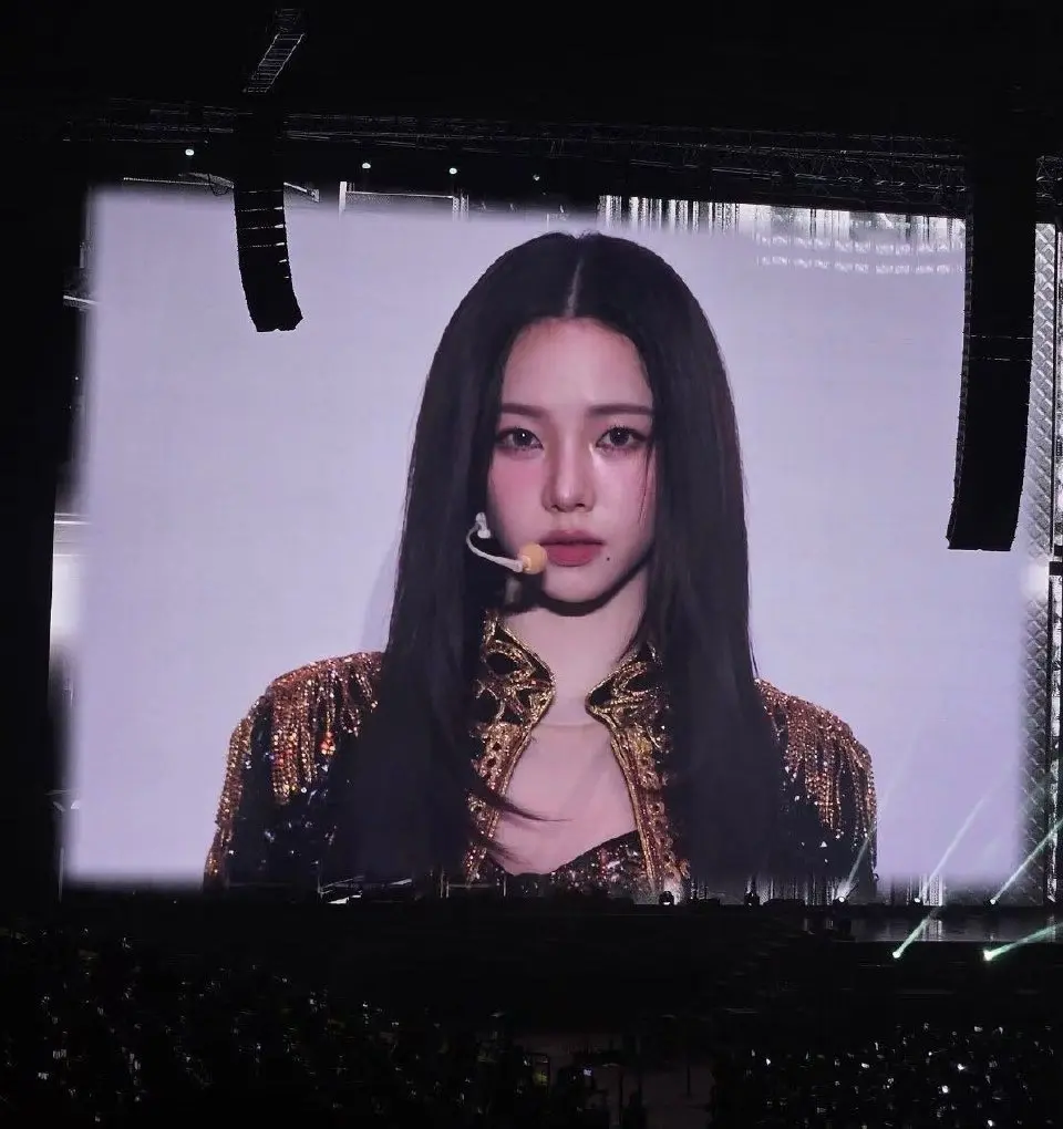 权威karina