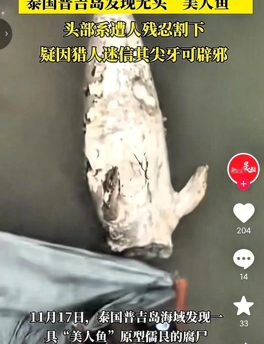泰国海边那具被死死绑在礁石上的无头尸体，彻底撕开了人性的遮羞布。

这只体长2.