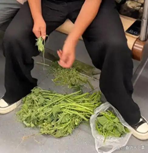 上海地铁恶心一幕：女子座位上摘菜，菜叶扔一地，网友炸锅。

见过地铁上嗑瓜子的，