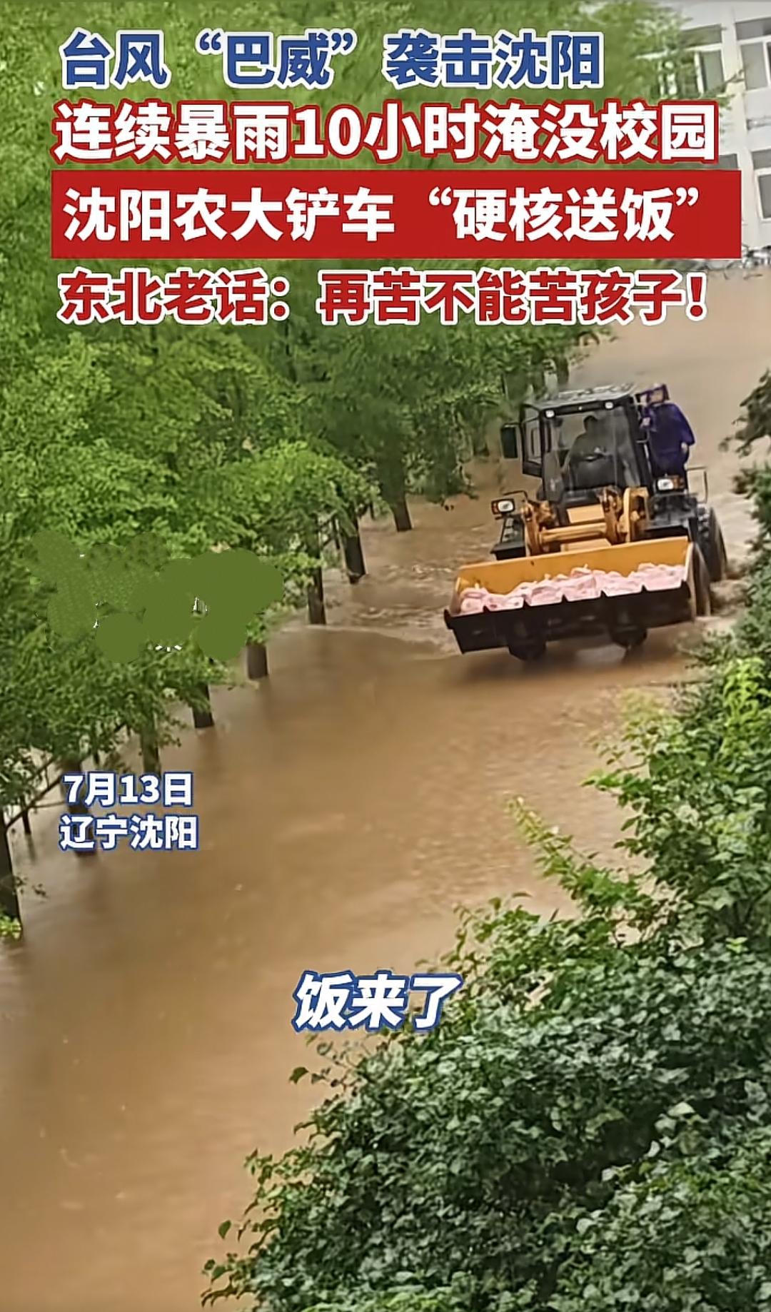 沈阳农大上千名留校学生，被困在积水宿舍楼，看着楼下一片浑浊的积水，所有人都以为只