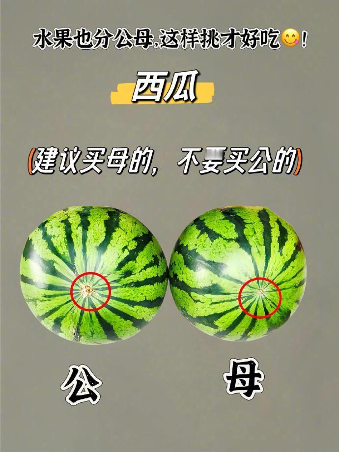 水果竟然有分公母的​​​我的宝藏食谱 ​​​
