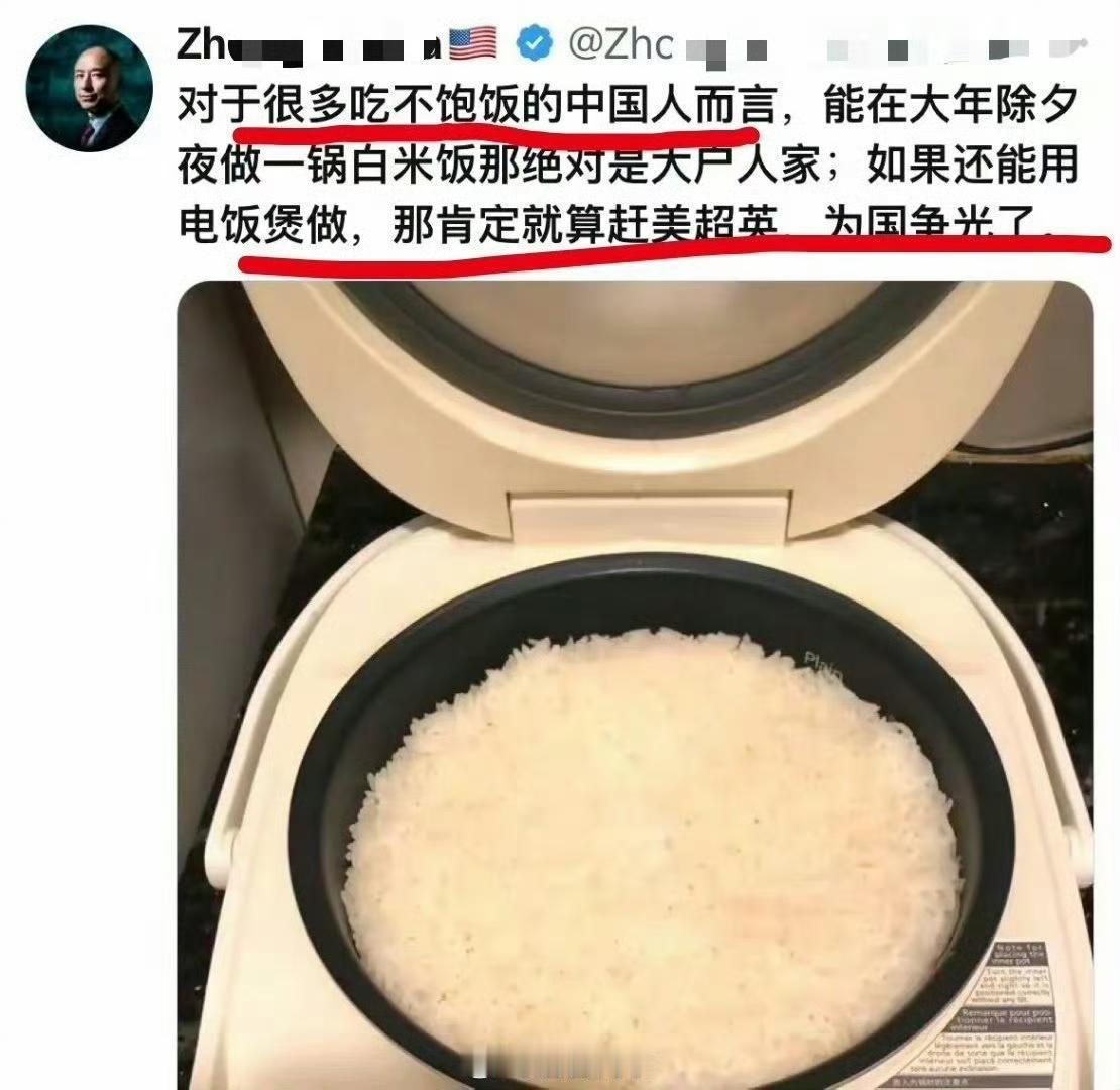 大殖子，又土又蠢！什么年代了，还在幻想一锅大米饭就是大户人家？还在幻想中国人吃不