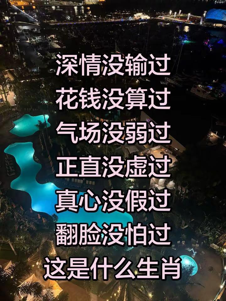 落日泳池 城市夜景 顶楼游泳池