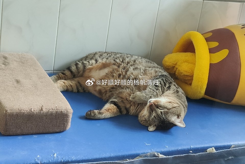 会不会觉得年味越来越淡了？其实只是制造年味的人，越来越少了当你感觉到年味少了的时