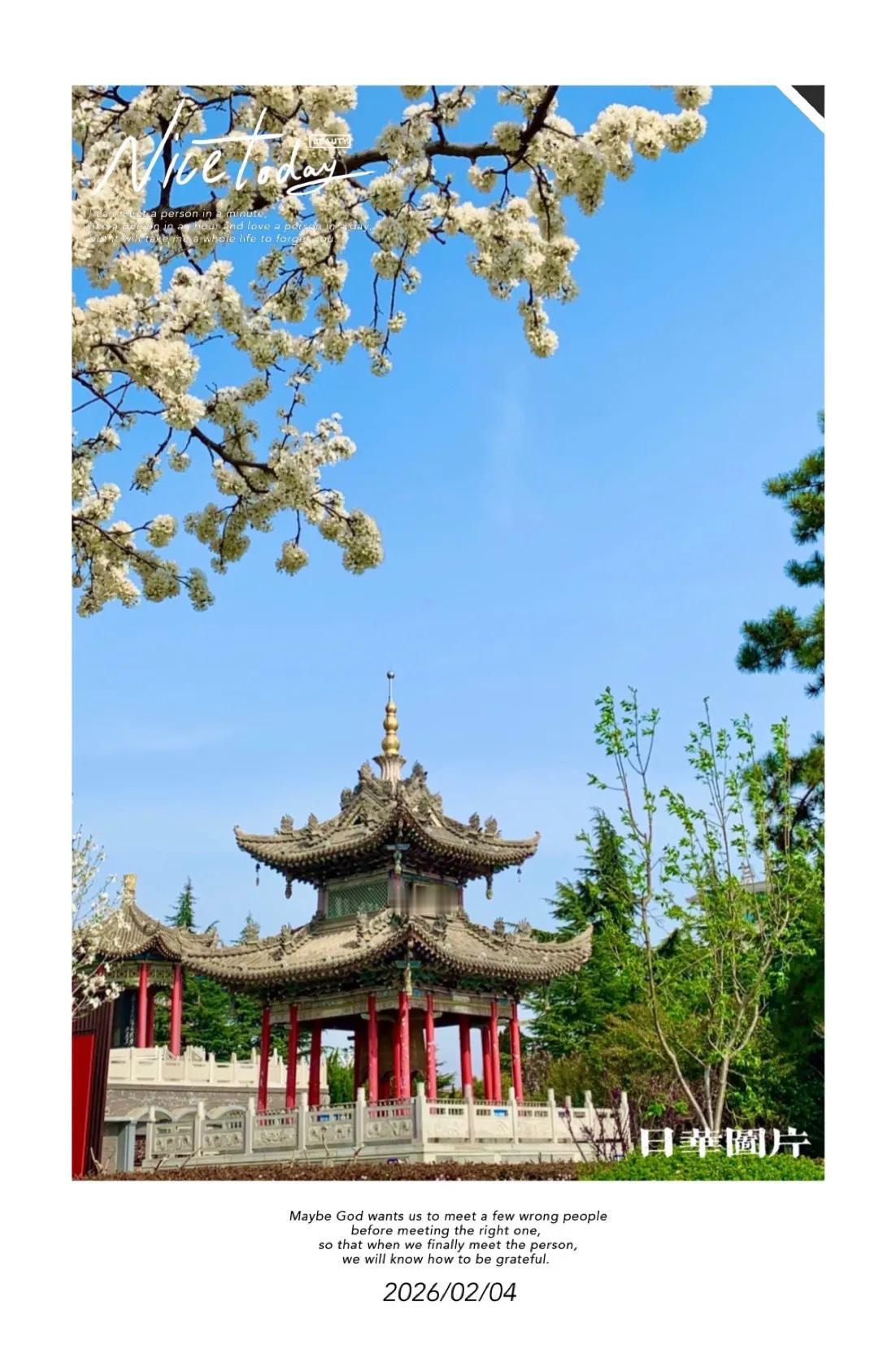 今日立春
一切美好迎春而来