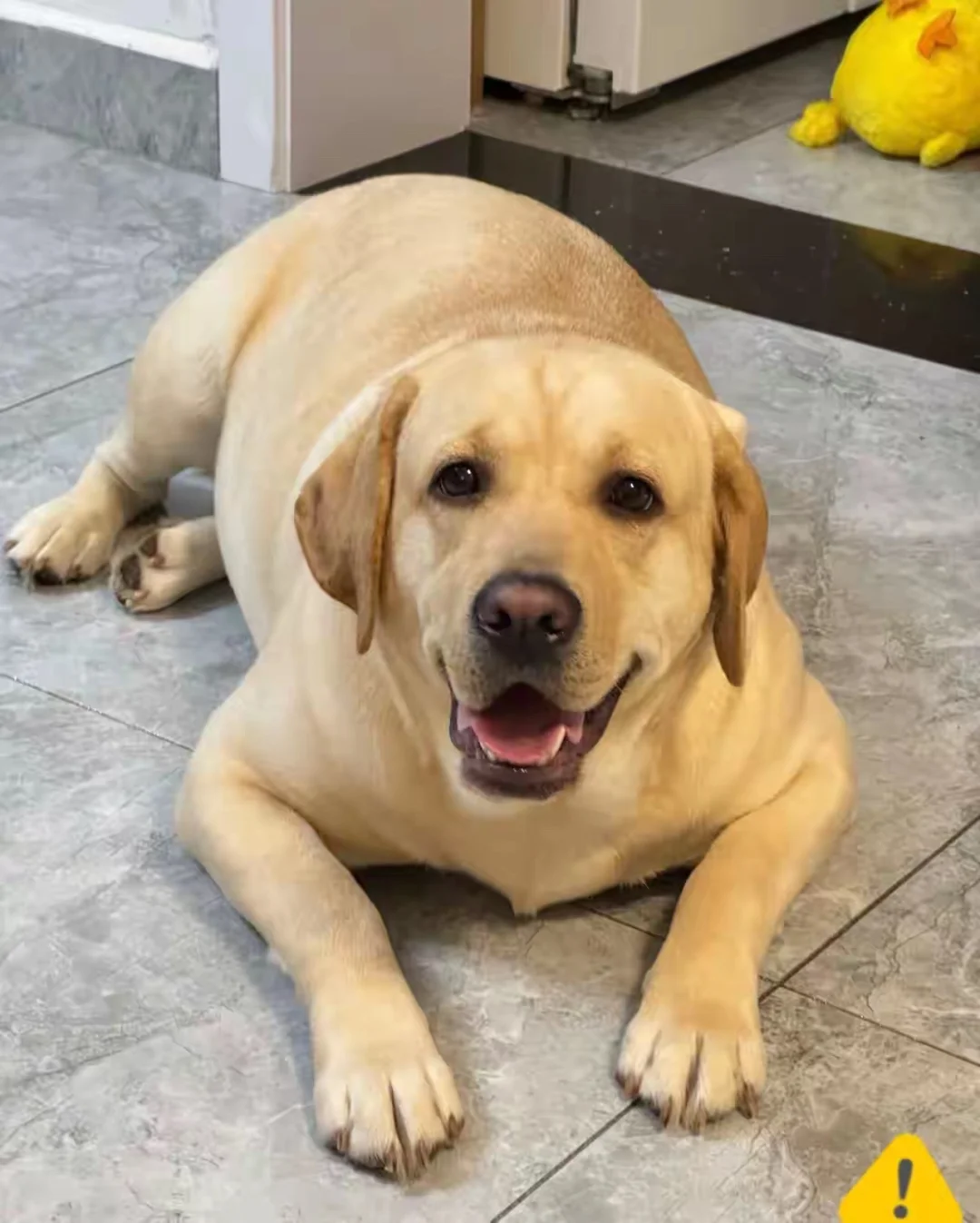 下午年轻朋友跟我说：知道了单位一桩八卦，三观大受震撼，至今没缓过来。 ...