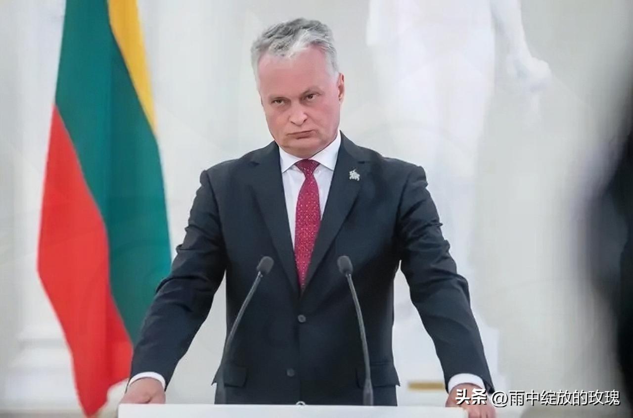 立陶宛民调炸锅！58%民众主动“降温”，终于不想再硬扛了
 
3月21日立陶宛国
