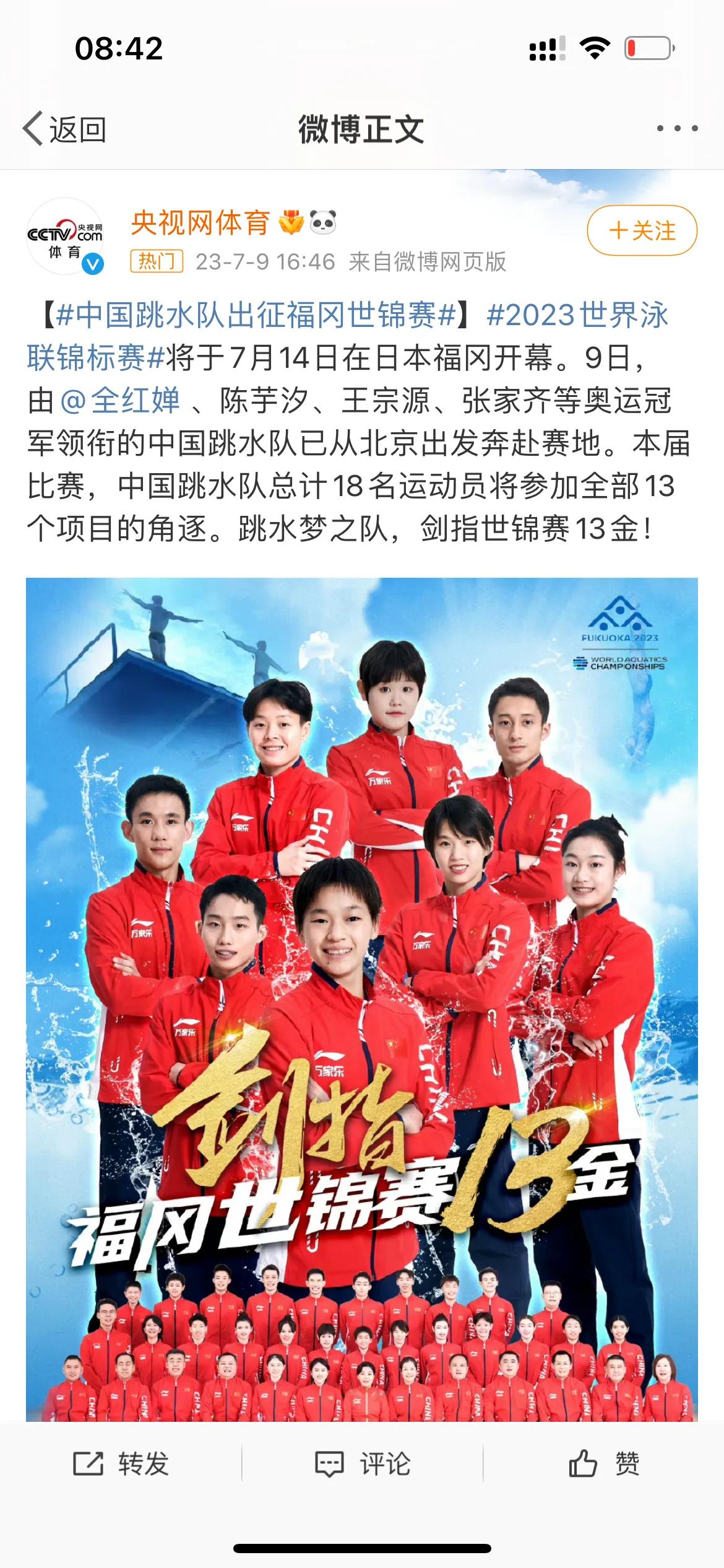 下午16点！央视体育官宣，中国跳水队一姐尘埃落定，粉丝振奋激动，陈若琳如愿以偿。