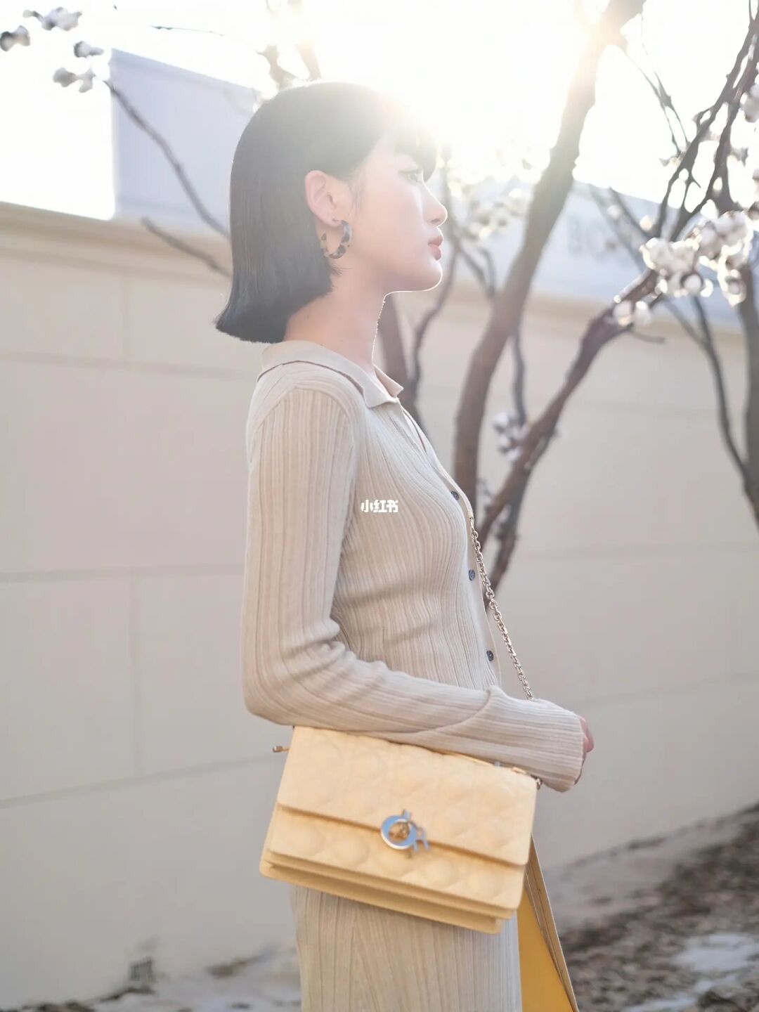 🌞𝑨𝒖𝒕𝒖𝒎𝒏 𝒃𝒆𝒈𝒊𝒏𝒔🍂