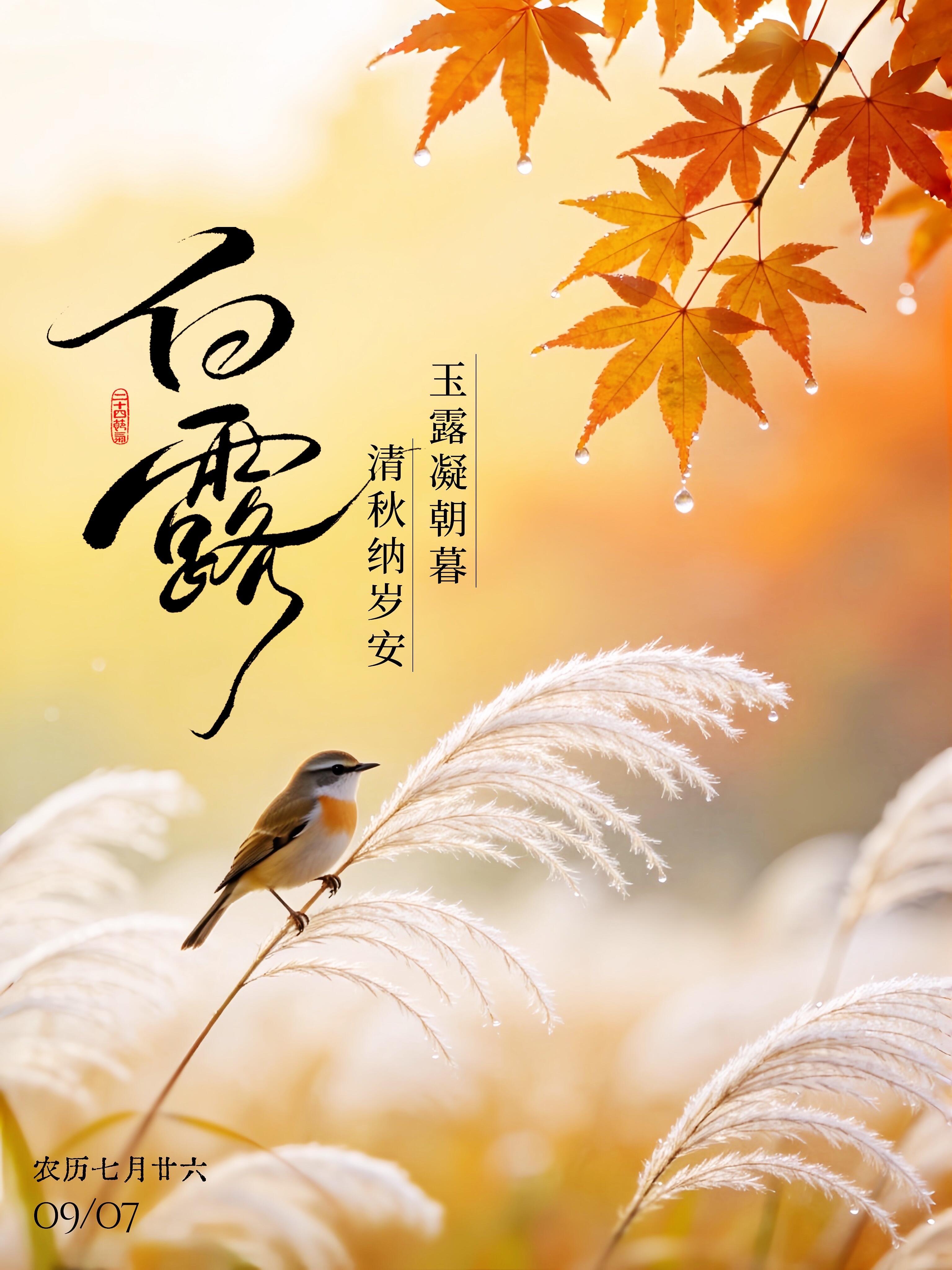 2026.9.7今日白露早安祝福图片壁纸拿图吱一声噢～ 白露白露节气