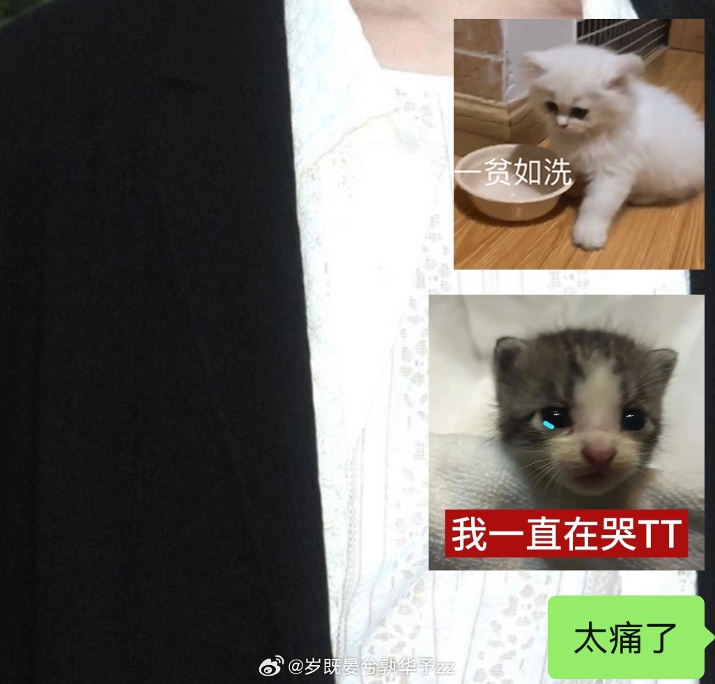 我靠我恨渣浪。。。又吞了我超多超多小儿子😣都是📚🍊的损失惨重…差不多损失了