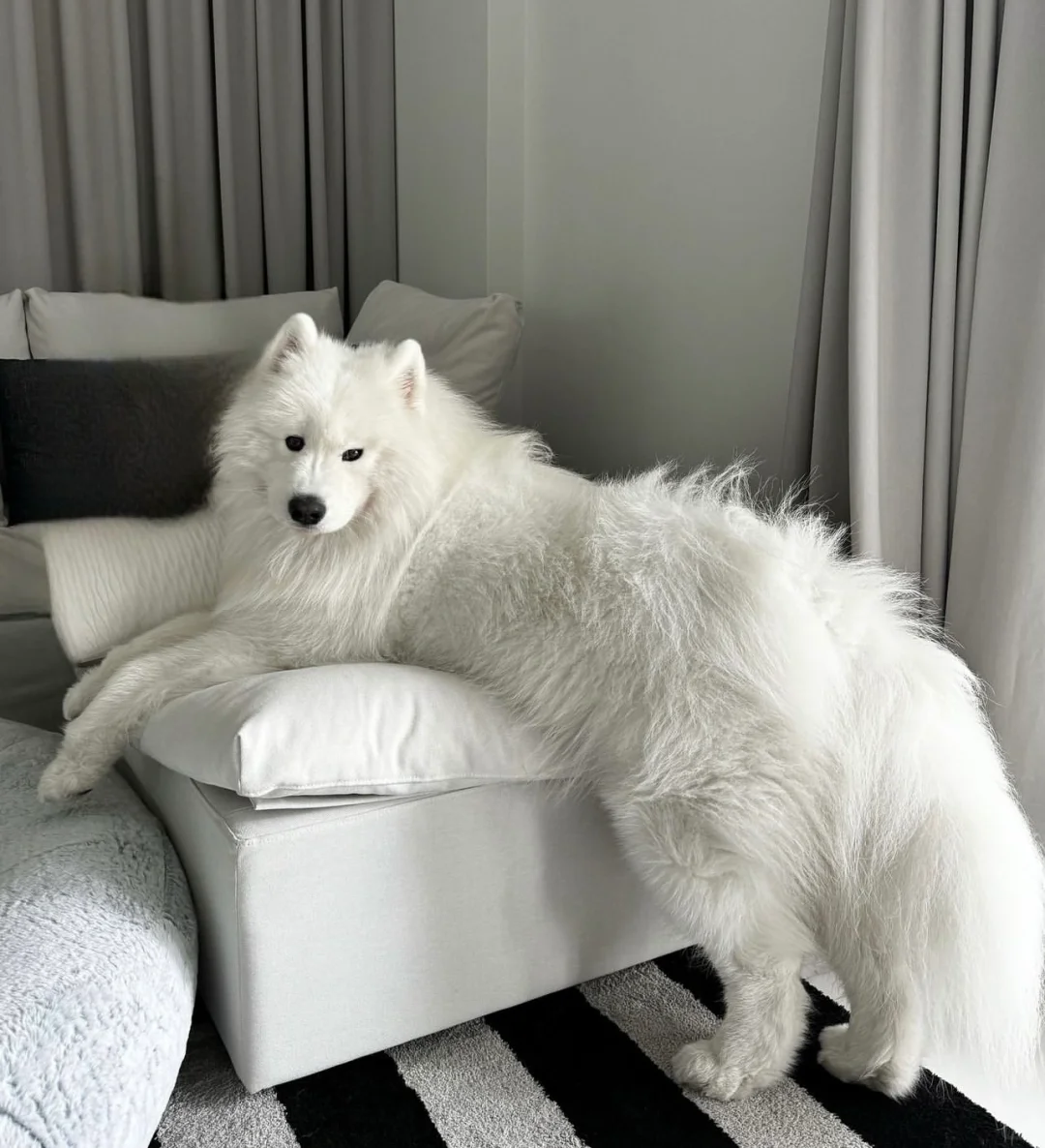 这姿势趴着睡觉舒服吗