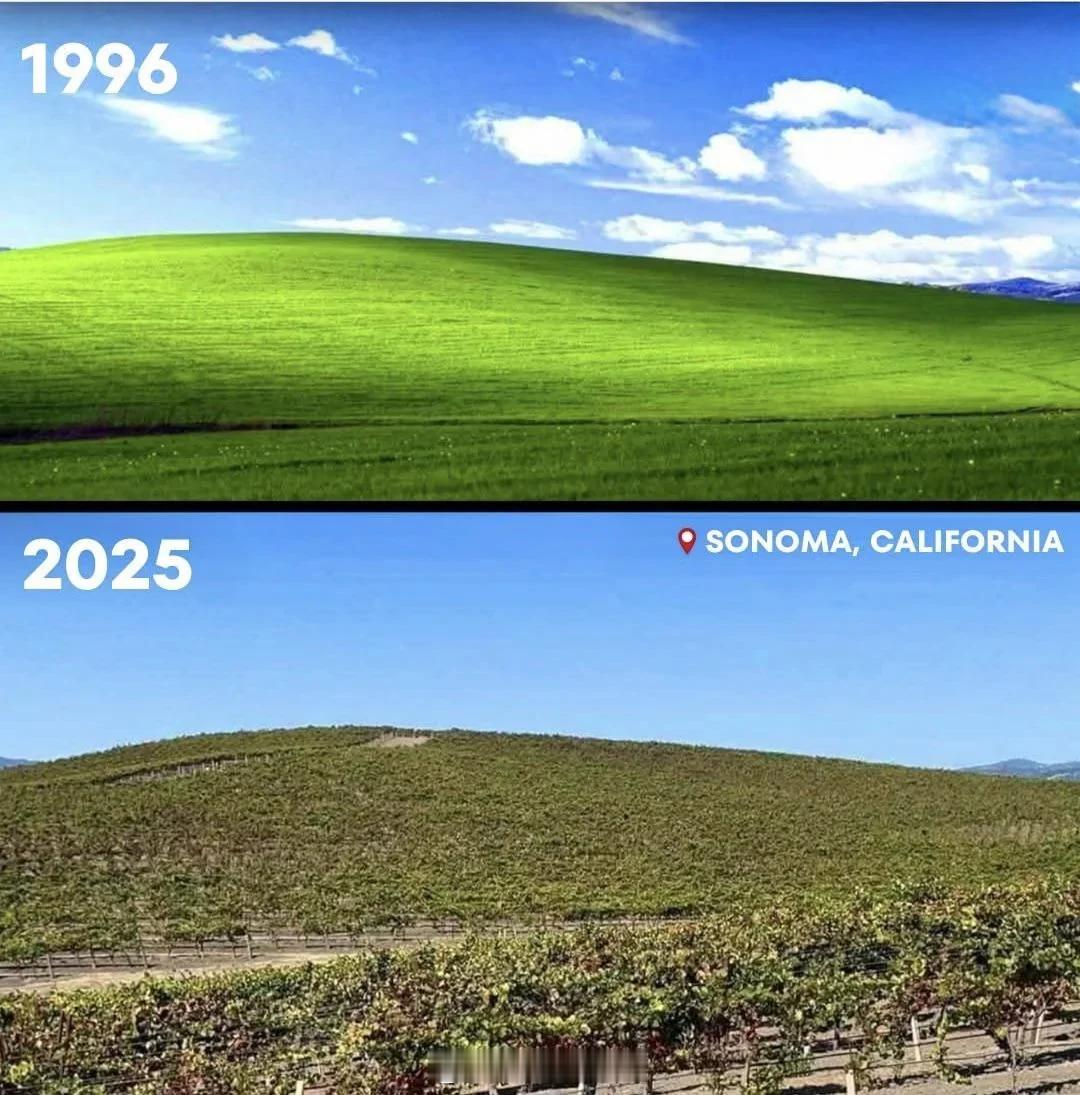Windows XP壁纸取景地在1996和2025的对比看着变化这么多是因为， 