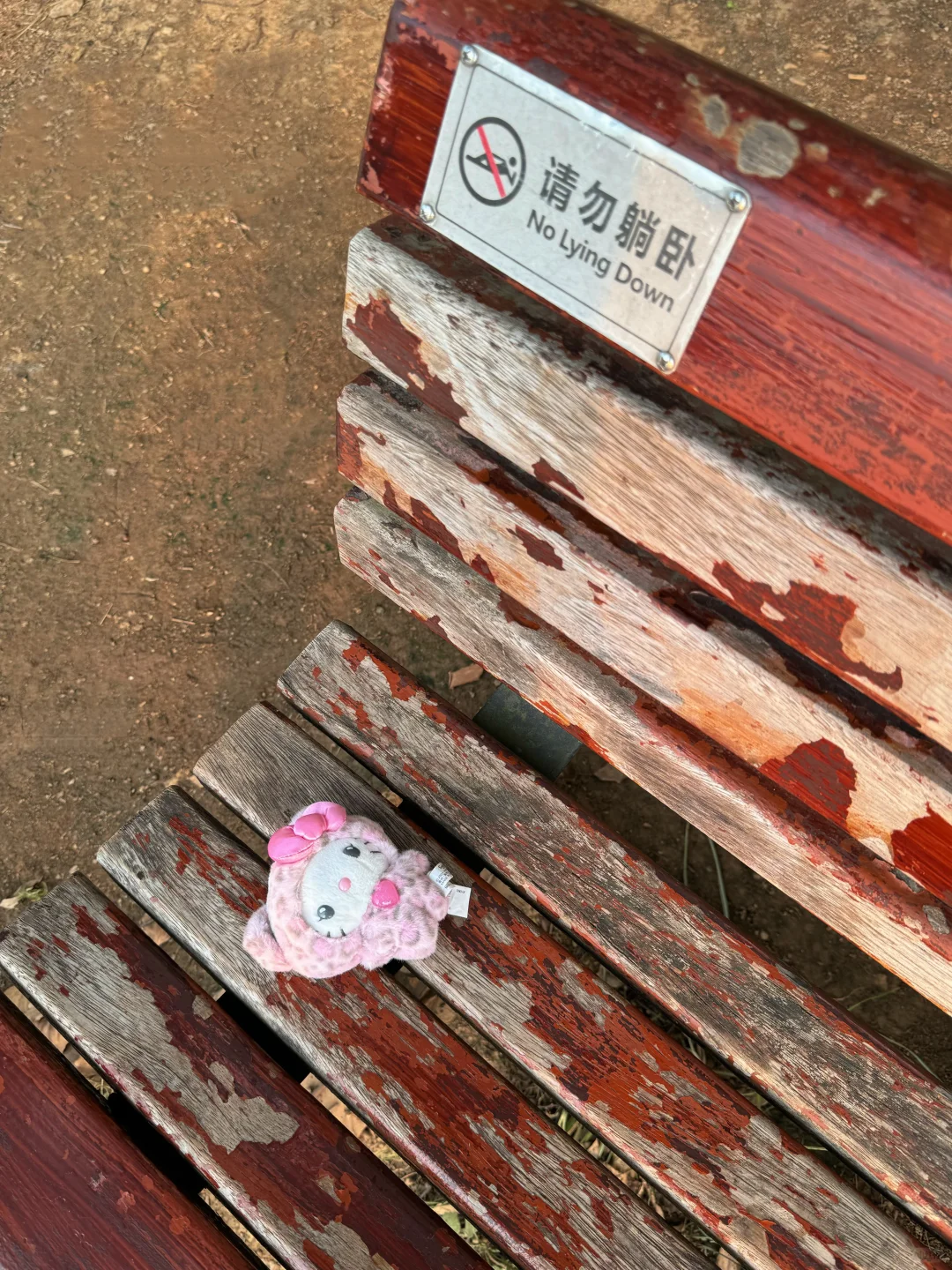 世间竟有如此萌物ദ്ദി˶ｰ̀֊ｰ́ )