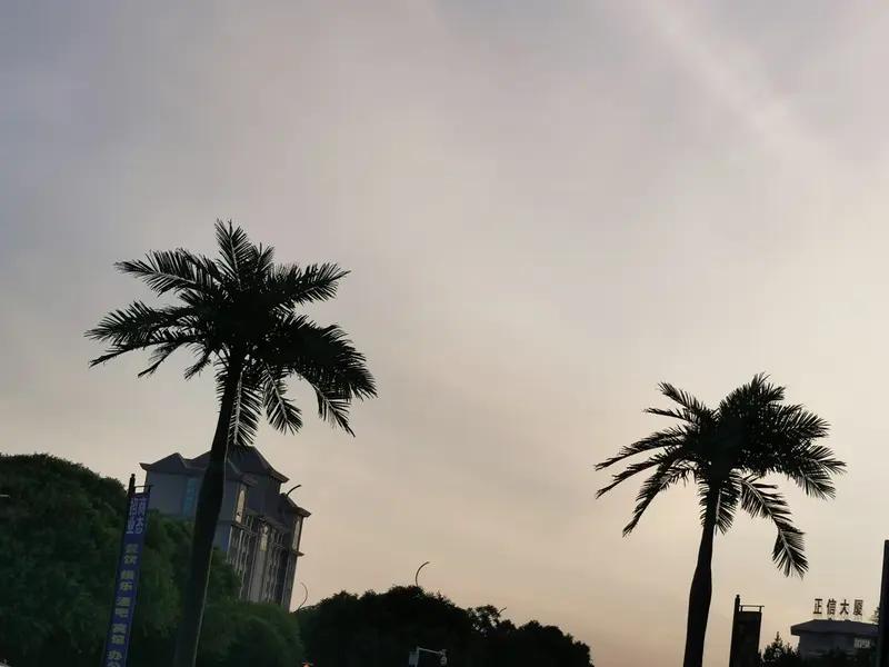 人生两大苦，一是得不到，二是已失去。就像追一个喜欢的人，各种努力付出，对方却始终