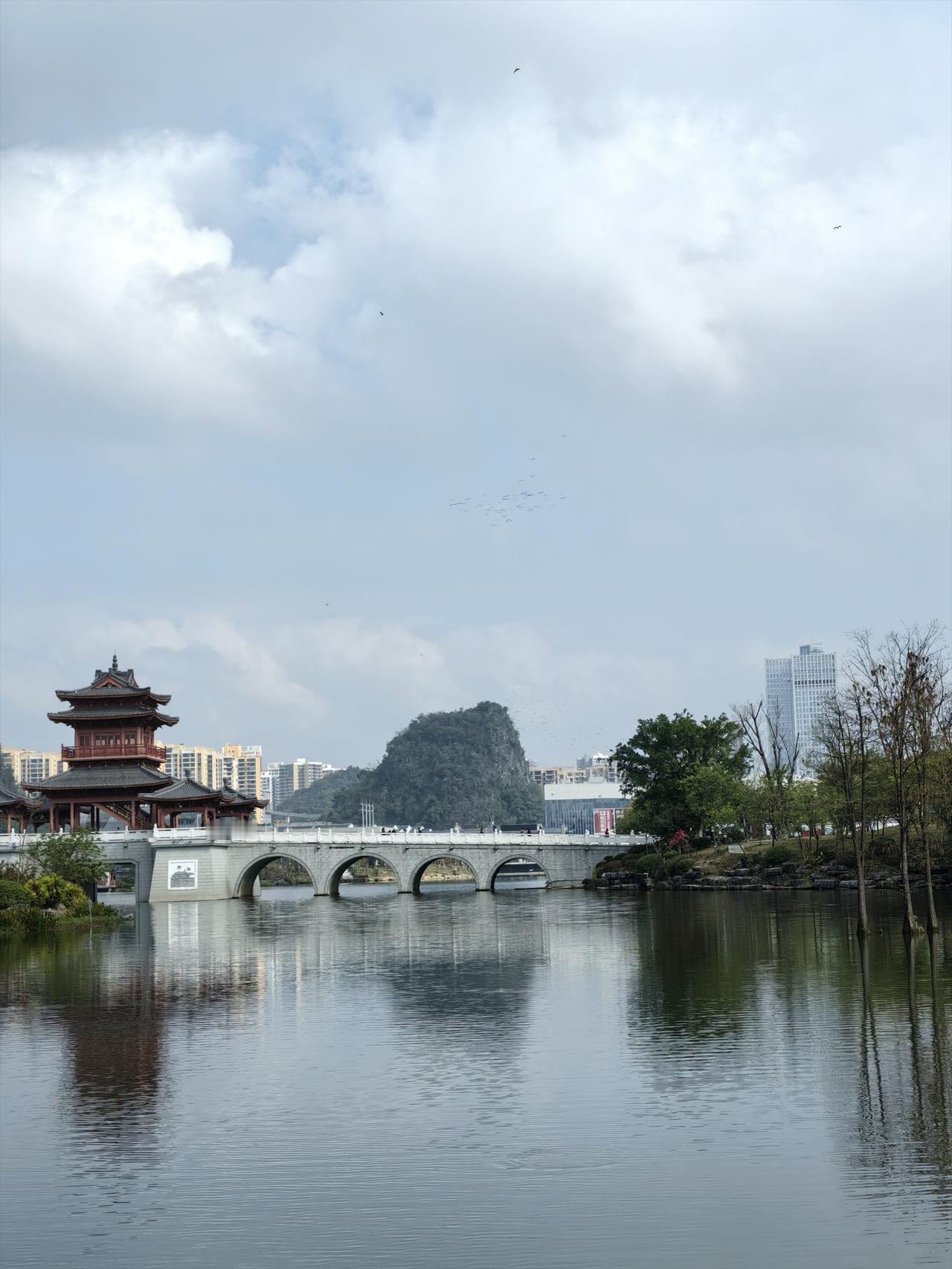 临桂这地方，
美景那是真不少！
随手一拍都是大片。
山水公园就像个天然氧吧，
树