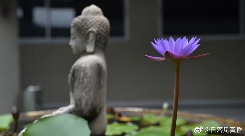 玄学提醒 1．出门若觉得门没锁，别犹豫立即返回，说不定会躲过一些事情。2．如果到