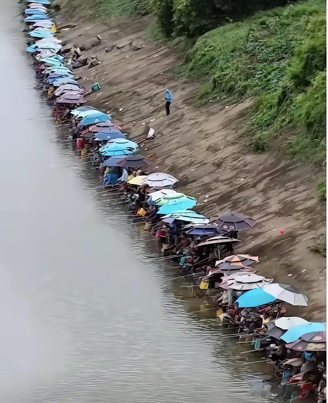 这么多人钓鱼，去卖点冰条饮料应该不错吧