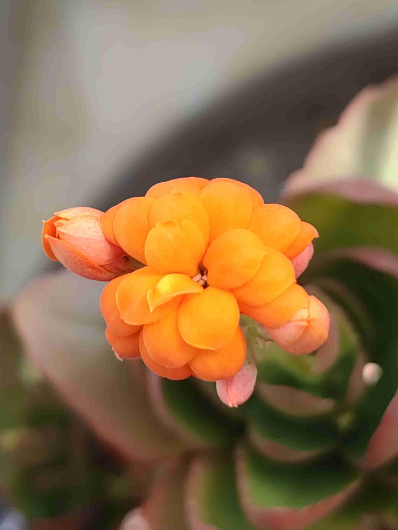 我的今日状态：😁轻松愉快
我这里的天气：☀️晴天