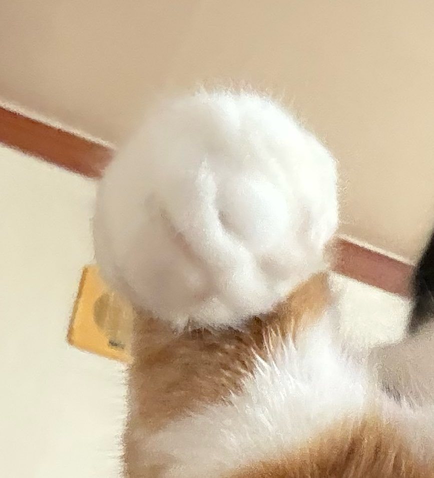 哆啦a咪 