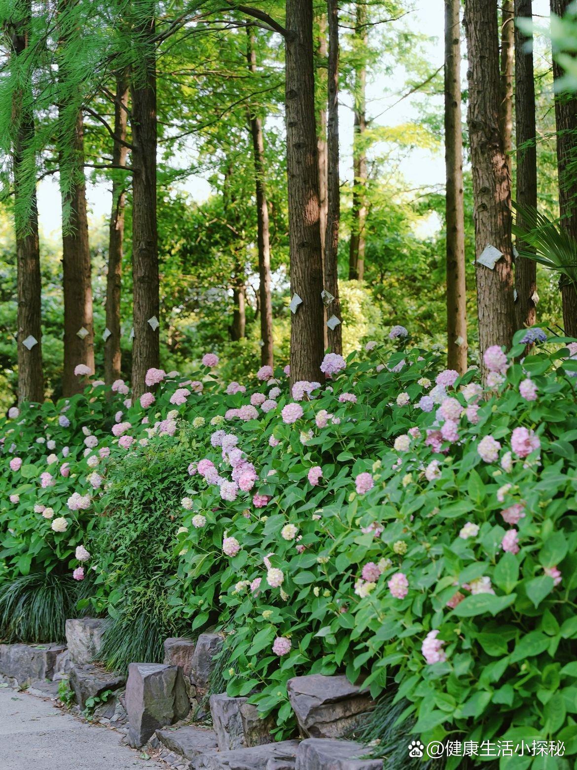 城东公园春日运动指南🏃♀️🌿

这个春天，带你们解锁肇庆城东公园的活力玩法！