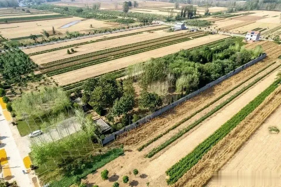 网上有人爆料许家印家的祖坟有12亩地，就建在一大片标准农田当中。由此看来，当初有