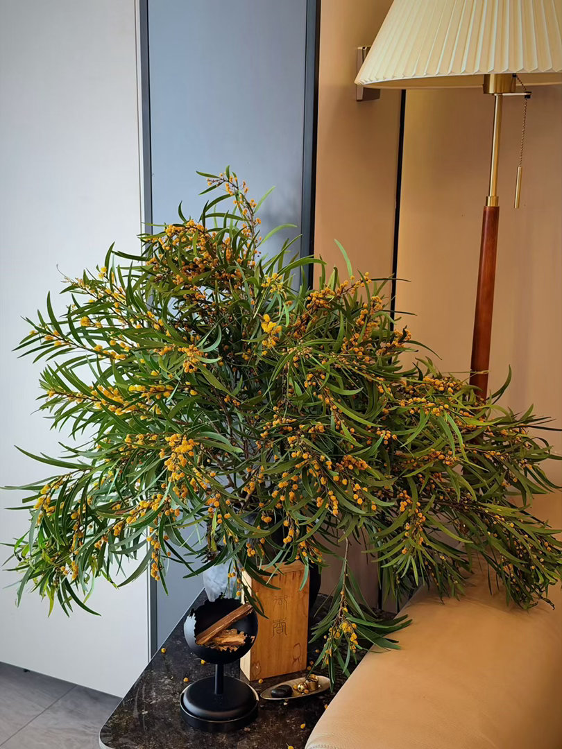 很多时候的自我否定，并不是你真的不够好，只是习惯用外界标准衡量自己。不要把价值绑