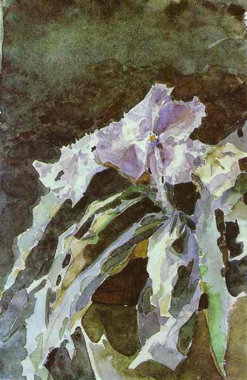 *弗鲁贝尔兰花-𝑶𝒓𝒄𝒉𝒊𝒅-Mikhail Vrubel, 188