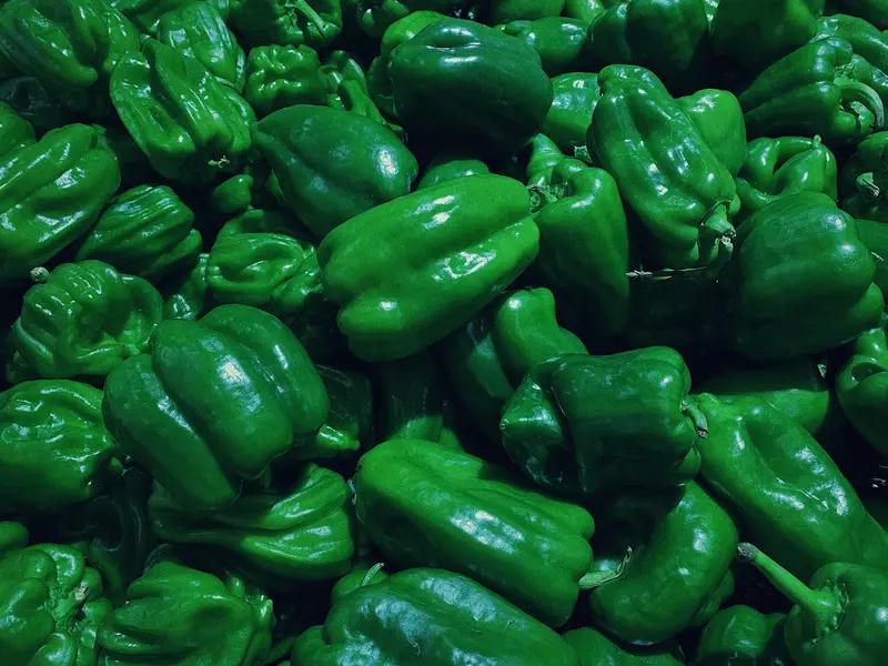 另外，农业生产大多还是传统模式，效率低、成本高。农民没有足够的资金和技术去升级设