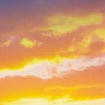 运动是热爱，早睡是底气，晚安，明天继续冲。 