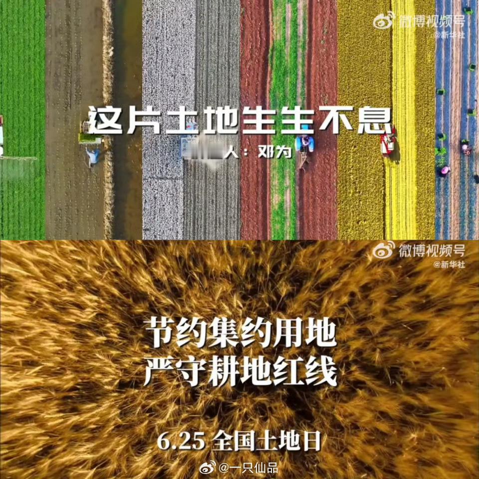 邓为好红！可太行了！太正了！展现了良好的和积极向上的公众形象，以及深厚的民族文化