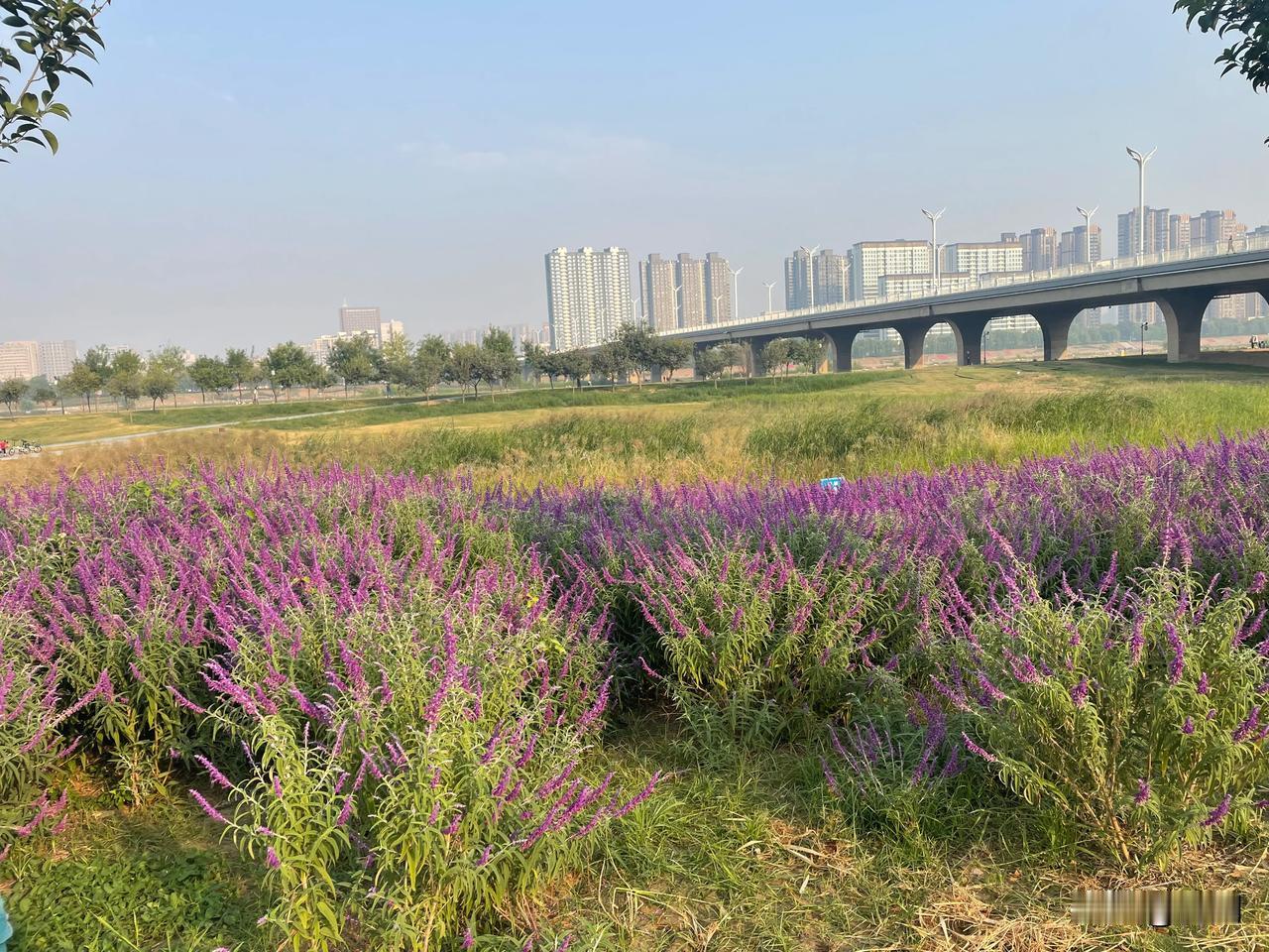 【七绝•尽管人无贵贱分】
尽管人无贵贱分，却将品性落一身。
逢人莫议人长短，便是