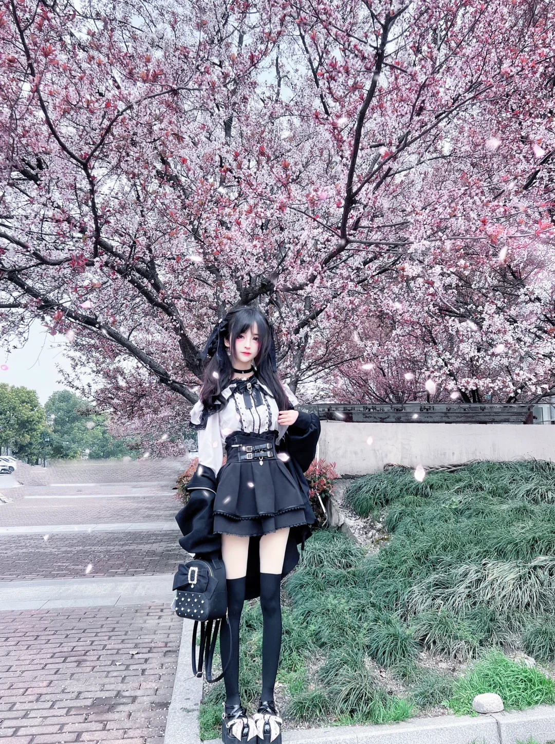 坠入樱花的梦里